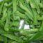 Frozen green pepper