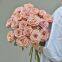 Cappuccino Rose Wholesale Price Flower Fresh Cut Roses Party and Wedding Decoration Rose