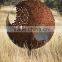 Corten steel and stainless steel sculpture for decoration