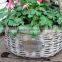 Eco-friendly fruit wood wicker flower basket