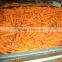 IQF export China fresh carrot