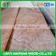 LINYI YATIAN Factory E Grade 0.13mm Rotary Cut Okoume Face/Back Veneer Cheap Price