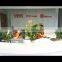 Guangdong PHNIX Eco-Energy Solution Ltd.