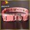 New Custom Fashion Pet Collar in Nylon Material