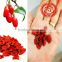 Certified organic goji berry wholesale with low price