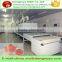 Industrial microwave tunnel mushroom drying machine/mushroom dehydrator