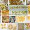 full automatic extruded snack pellets 3D Food plant