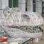 Dinosaur Skeleton Model for Sale Life Size Skeleton