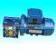 NMRV worm gear motor AC