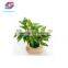 High Simulation Decorative Artificial Fruit Tree