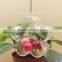 2016 Different Shape Clear Transparent Christmas Ornaments Balls