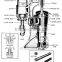 coconut water processing machine