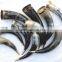 Hot Sale Drinking Horns/Viking Drinking Horns Decorative Bulk stand for beer, wine,mead, pagan ,