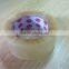 Can be customized packing tape