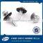 orthodontic mini screw