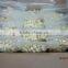 2015 new crop fresh peeled garlic packed in jar or bag factory in jinxiang