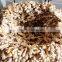china fresh air dry ginger