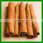 Spices & Herbs Products Chinese Cinnamon Cassia Tube