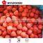 new china product for sale price for frozen strawberry growing season