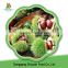 Top rated green health food low cost whole frozen chestnut