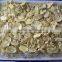 canned mushroom with fresh material and competitive price