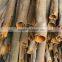 Vietnam cassia whole tube high quality