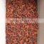 VIETNAM BEST QUALITY AUTUMN STAR ANISE
