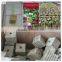 High quality factory price Rockwool Cubes for sale