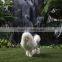 garden decorations christmas ornaments stuffed animals