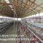 Chicken Cage 120 Birds 3 Tier or 256 Birds Chicken Cage Hot Sale in Zimbia