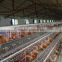 A type automatic chicken layer cage for sale 100 chickens coop