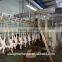 Chicken portioning machine for Sale