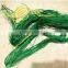 flower Net, climbing net, plant support net