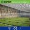 modular greenhouse 2016 shuiwang hot export