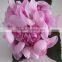 artificial plastic pink flowers ball wedding decoration gate flower