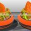 Wholesale custom bumper cars LT-6067D