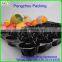 pengzhou plastic tray with handles