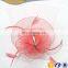 New Coming Fashion Feather Headwear Hat Lady Wedding Accessories Handmade Tea Party Hair Fascinators