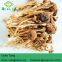 Detan Agrocybe Cylindracea Fresh Mushroom