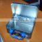 Cute new design cute metal lunch box with plastic handle for children