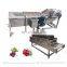 Factory Direct Supply Cabbage Bubble Washer Leaves Vegetables Cleaning Equipment Carrot Bubble Washing Machine