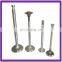 auto classic car accessories engine valve for fiat grande punto