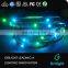 5050 Flex LED Strips Type Magic Dream Colour Led Ribbon ws2812b pixel strip