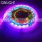 High brightness colorful smd5050 RGB ws 2812b led light strip