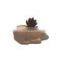 cute polar biodegradable bear ceramic succulent planter plant pot set