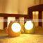 Creative Cartoon Animal Night Light Children Baby Sleep ABS LED Desk Lamp Cat Shaped Night Light For Kids Room