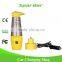 12V Stainless Steel Auto Mug Electric Travel Kettle