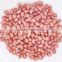 best quality red skin peanut for sale