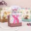 paper gift packaging box with ribbon