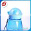2015 pp water bottle